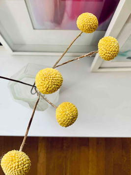 Artwork + Floral.jpg