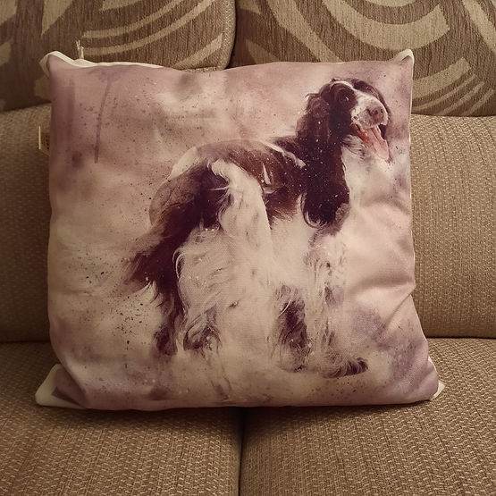 Springer Spaniel Cushion
