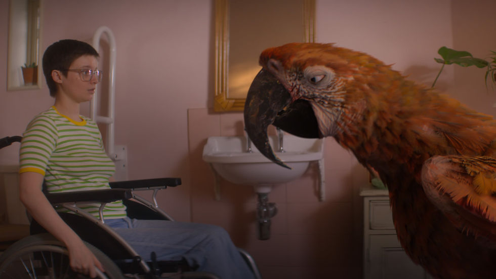 Tuesday (2023)