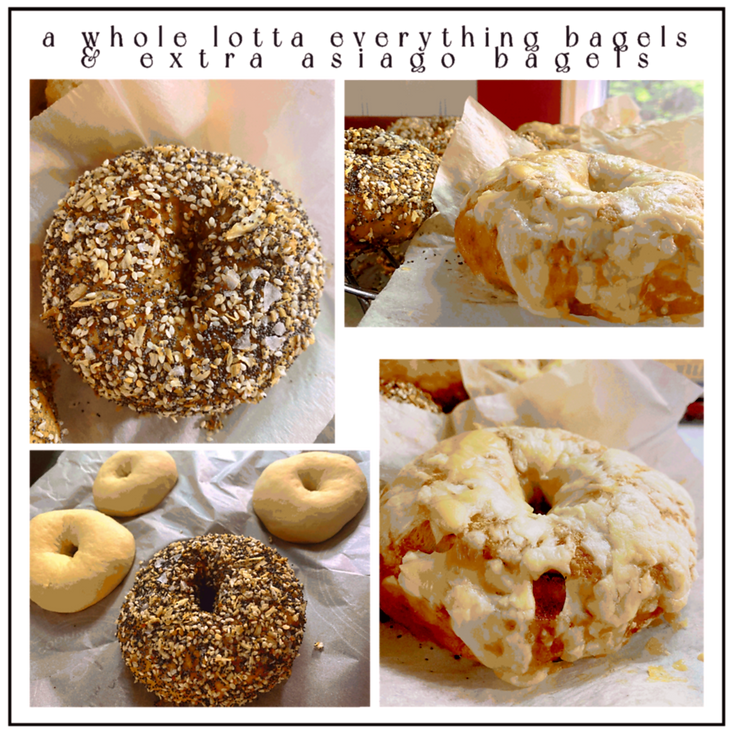 bagels_edited.png