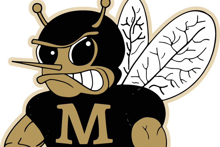 logo-meridiantx.png