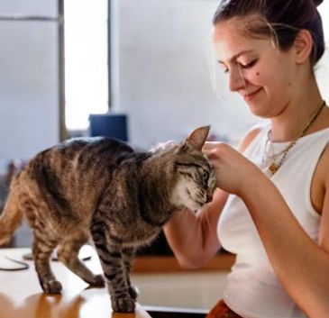 Cats Thrive With Regular Human Interaction And Enrichment