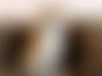 Grooming Requirements Of Akita Dogs