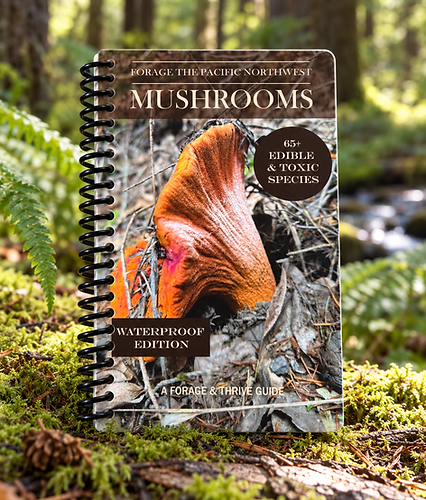 Pacific Northwest Mushroom Field Guide