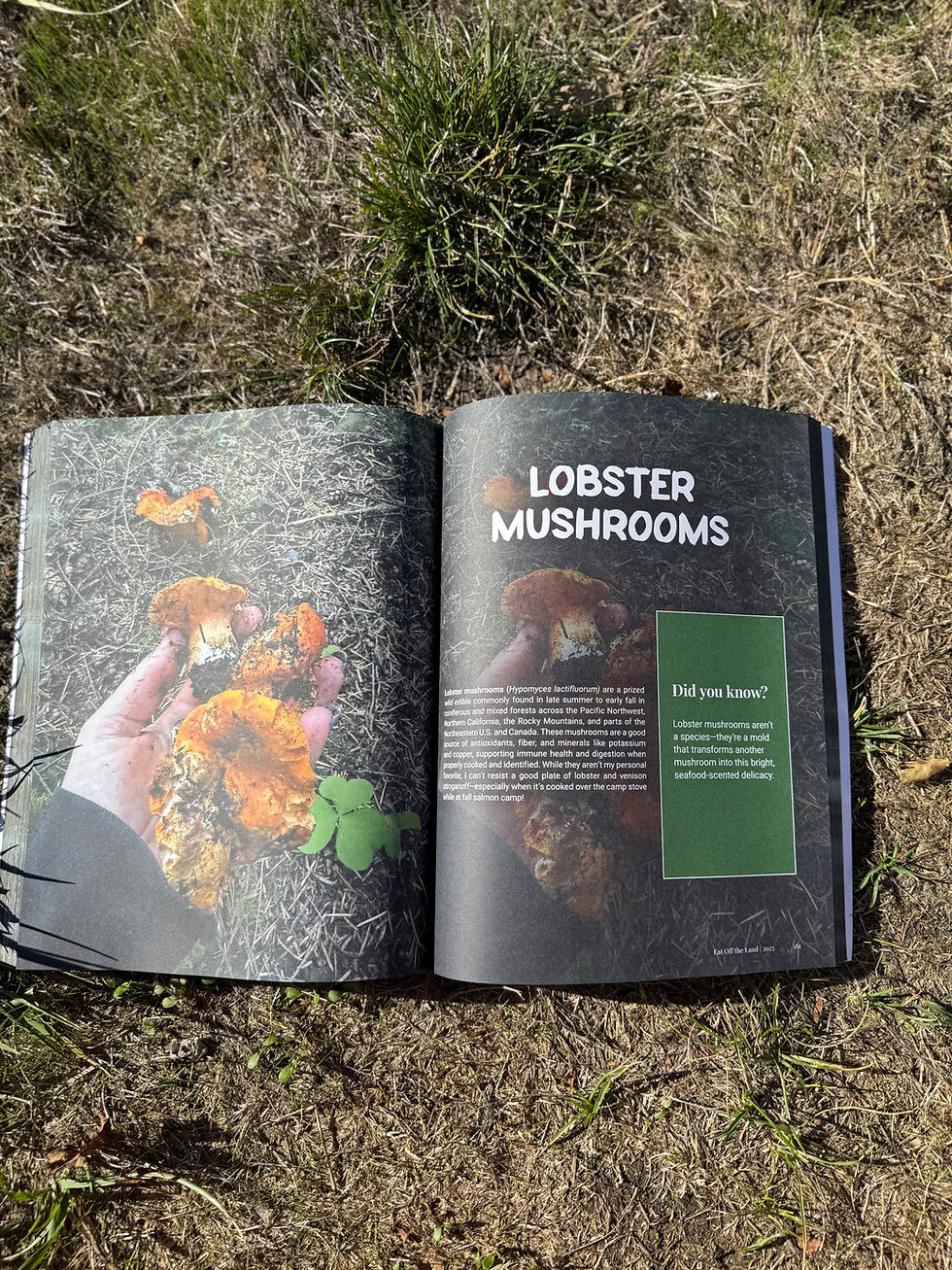 Central Oregon Library Series — Foraging & the Thrive Mindset
