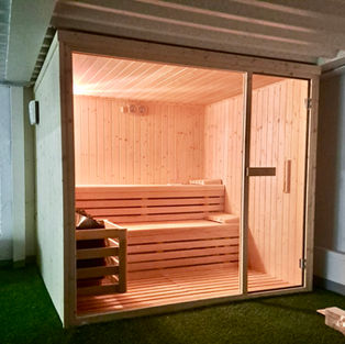 SAUNA-FRONTAL-CRISTAL