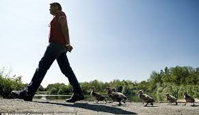 5 Things a CEO Can Learn From an Investment Banker