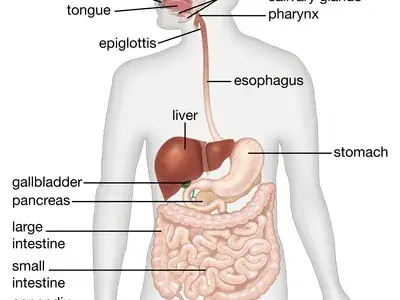 Dangers of PPIs