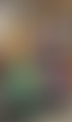 Yellow Class - Awards