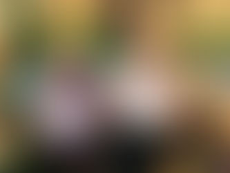 Well done to Blue Class Merit award children ⭐