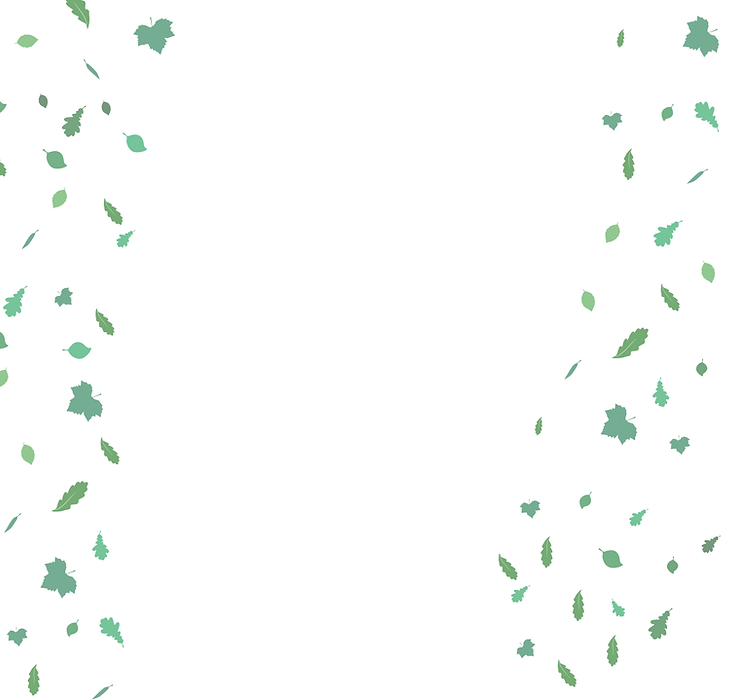 Woodfield Junior 2025 Background.png