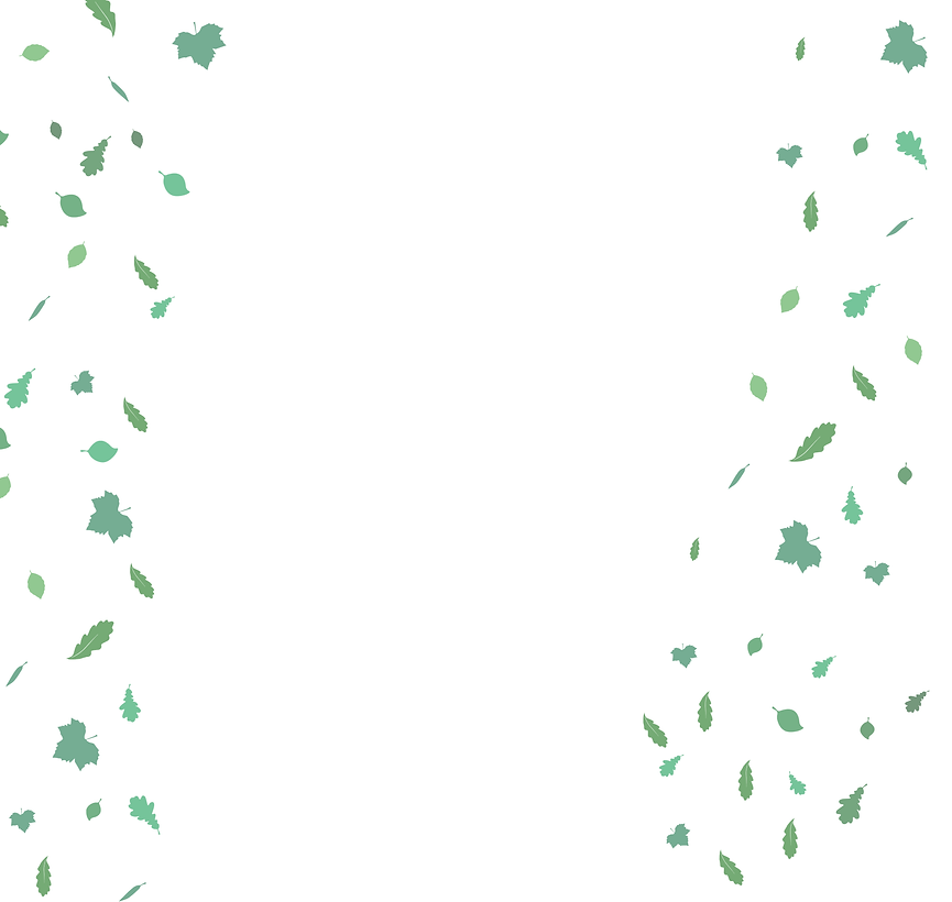 Woodfield Junior 2025 Background.png