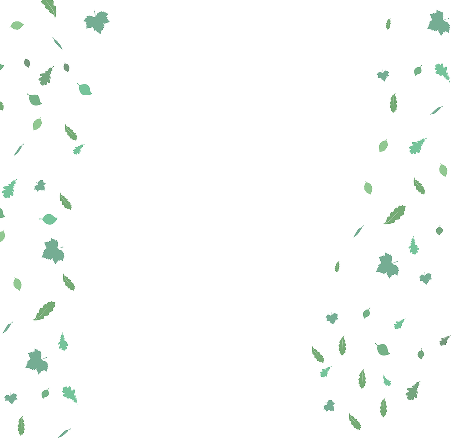 Woodfield Junior 2025 Background.png