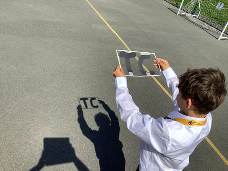 Year 4 Rowan Shadow Sculptures ✨