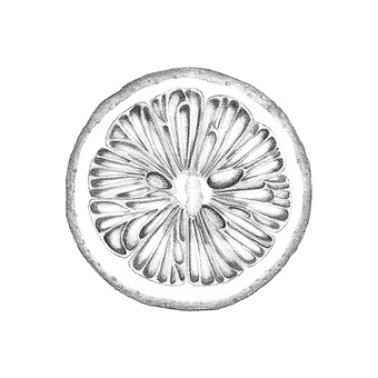 citron_fond.png