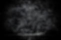 BLACK_AMAZONIA_SEBASTIEN_DISILVESTRO°008.JPG