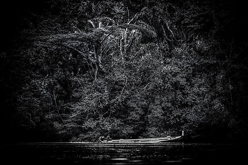 BLACK_AMAZONIA_SEBASTIEN_DISILVESTRO°008.JPG