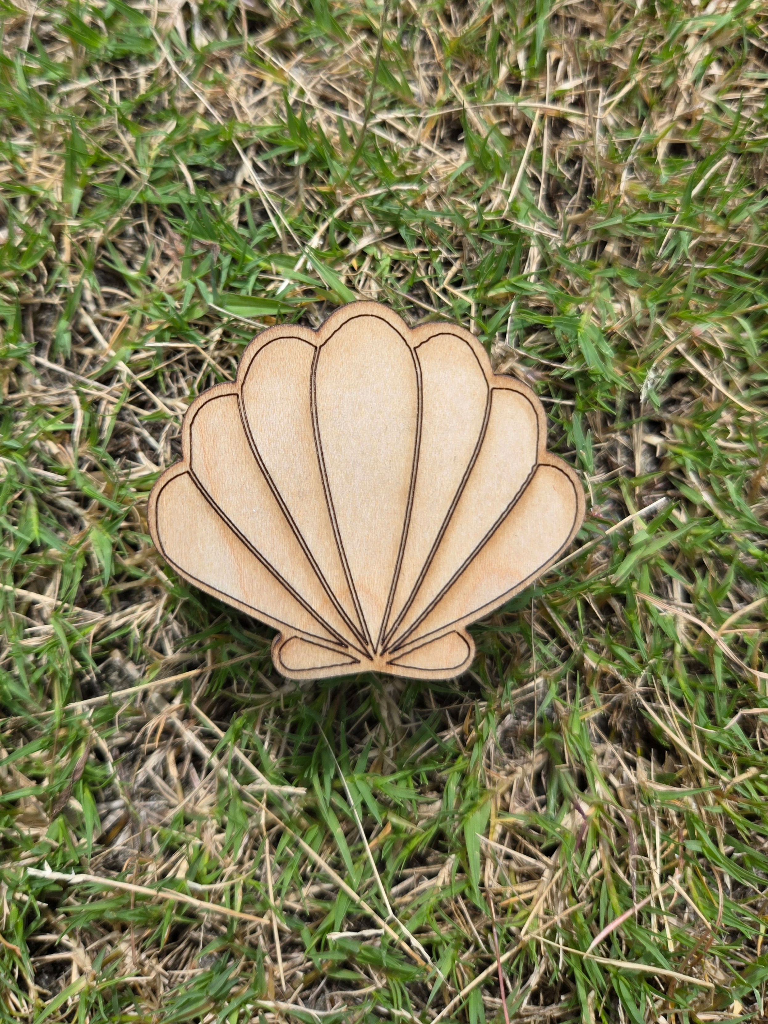 Clam Wooden Trinket Box