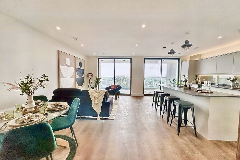 Dining Living Kitchen