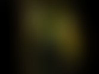 Something Wicked this way stays