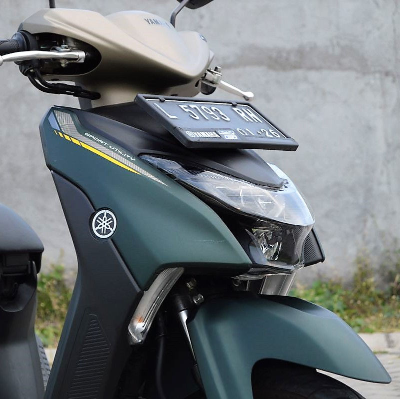 Tips Merawat Cat Dof Agar Lebih Awet