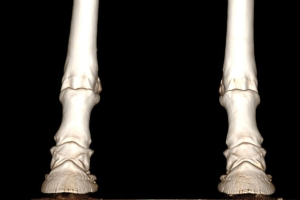 Would you ride a horse shod by yesterday’s knowledge, or today’s science?