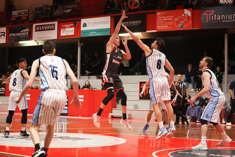 2022-07-10 Illawarra Hawks vs Bankstown Bruins-0T3A8143-NBL1.jpg
