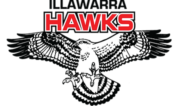 1984-1998 - illawarra Hawks.png