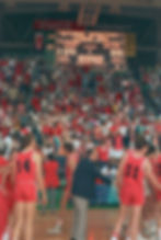 Travelling Hawks fans celebrate the 1986 Playoffs win against West Sydney Westars.