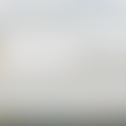 One Room Challenge 2020: In Review (Part 2)