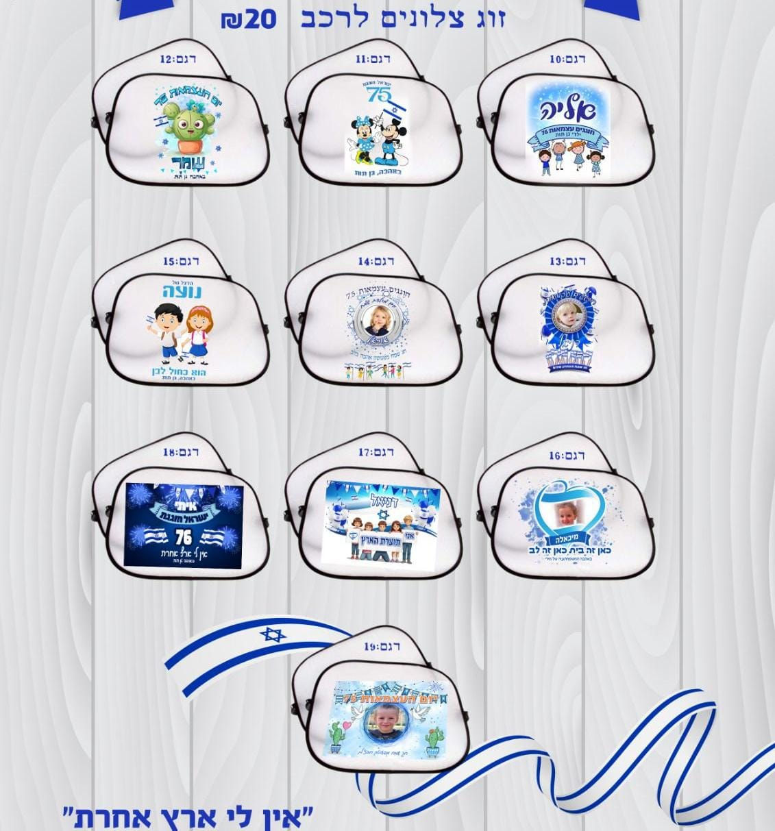 זוג צלונים לרכב