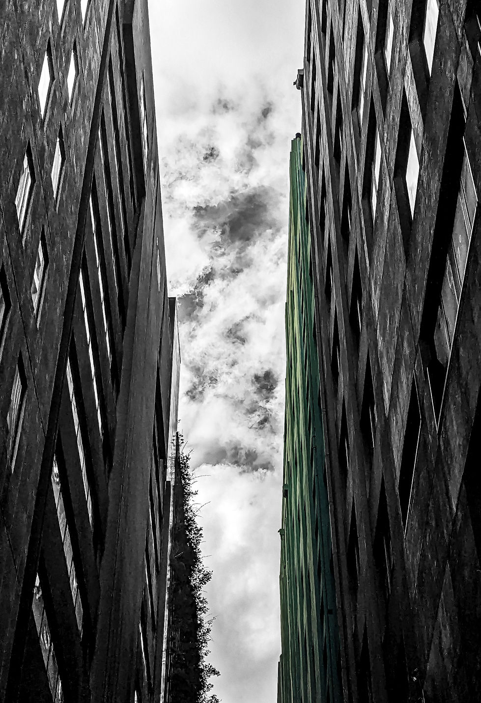 Brutal black and white