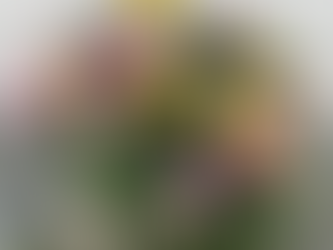 Jaro je konečně tady!