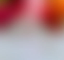 Post #3: Pod of Friends - What gets us through