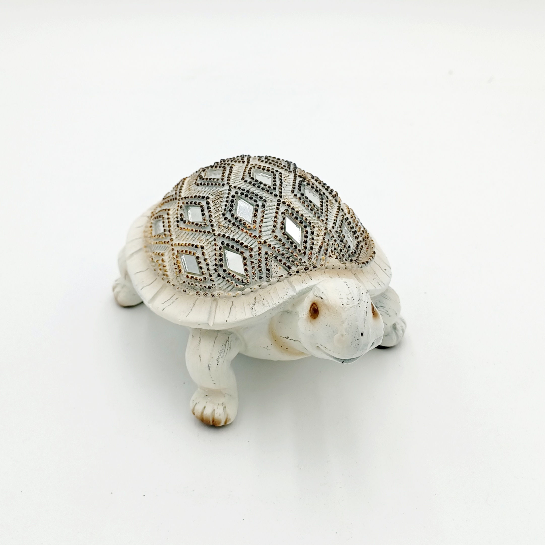 Tortue kaolina 