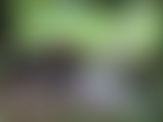 Rallye des BLANCHISSEURS