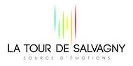 logo La Tour de Salvagny