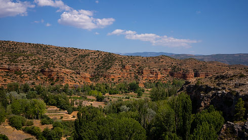 DSC00962.jpg