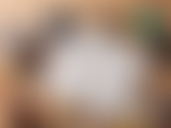 Empowering Gifted Students: Personalized Education Programs