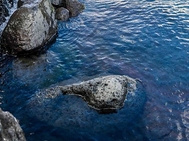stb-bassin-bleu.jpg