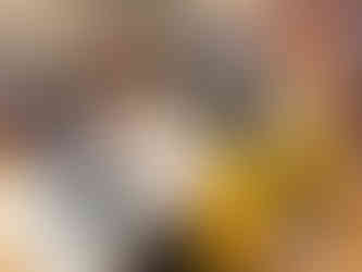 Elderly-Participants-Using-BEST-Like-Framework-to-Appreciate-Student-Mentors