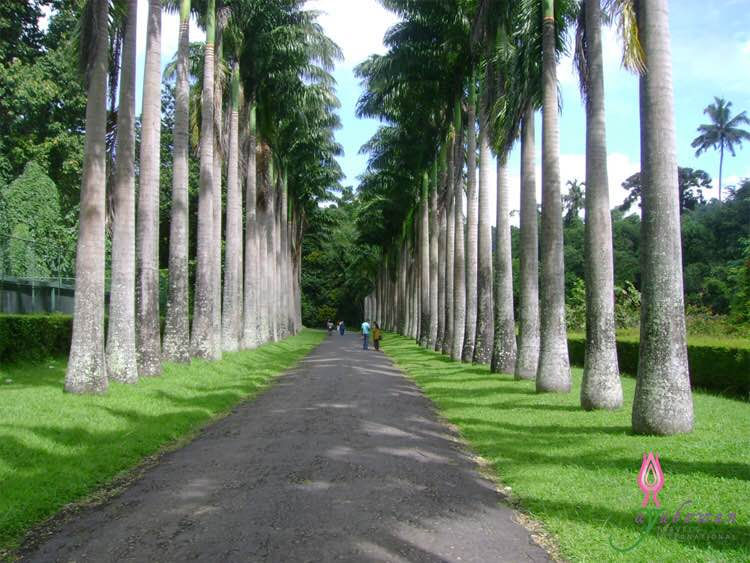 Peradeniya