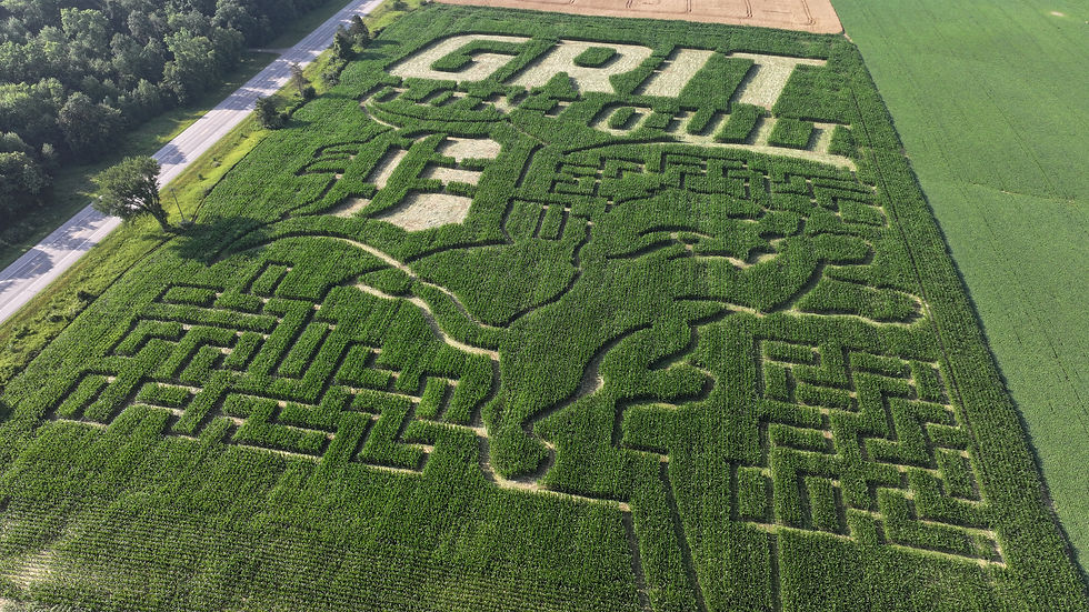 DJI_20250715081143_0001_D