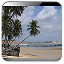 Praia da Pipa