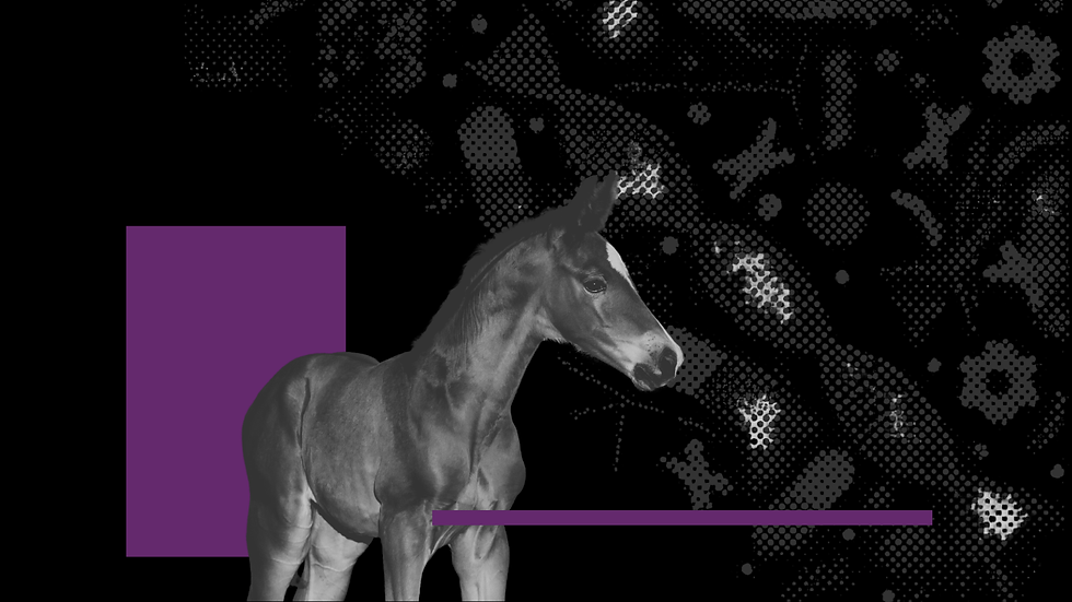 Advances in reproductive technologies such as ICSI, alongside emerging AI-driven tools, are reshaping equine breeding while challenging traditional regulatory frameworks governing genetics and ownership.