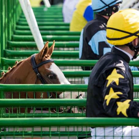 A chestnut racehorse peeks its head out of a starting gate.