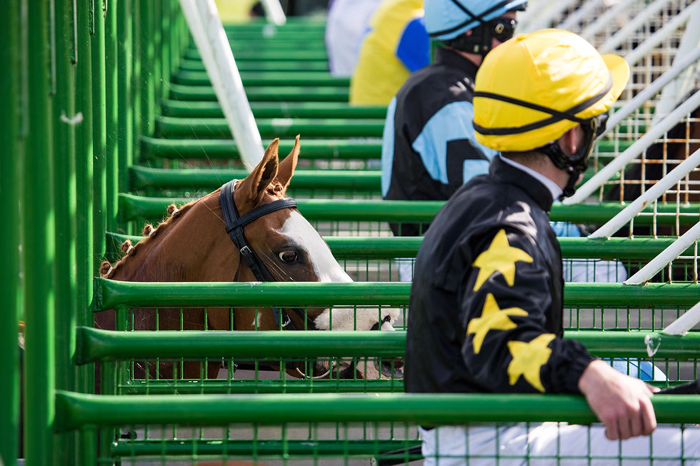 Advances in genetic research are providing new insights into the biological foundations of Thoroughbred performance, while highlighting the complexity of predicting athletic success.