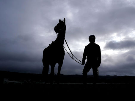 No Longer the Dark Horse: The Rise of the French Thoroughbred