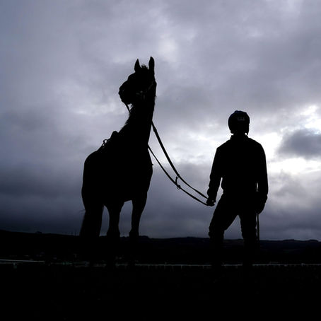 No Longer the Dark Horse: The Rise of the French Thoroughbred