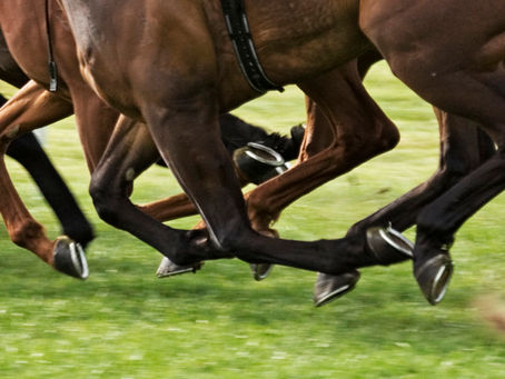 Exploring Governance Challenges in the Equestrian Industry